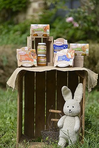 babybio-bols-bonne-nuit-patate-douce-l-gumes-du-soleil-et-riz-de-camargue-2-x-20 image 4