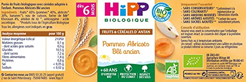 hipp-biologique-pommes-abricots-bl-ancien-pots-2x190g-d-s-6-mois-lot-de-24-pots- image 7