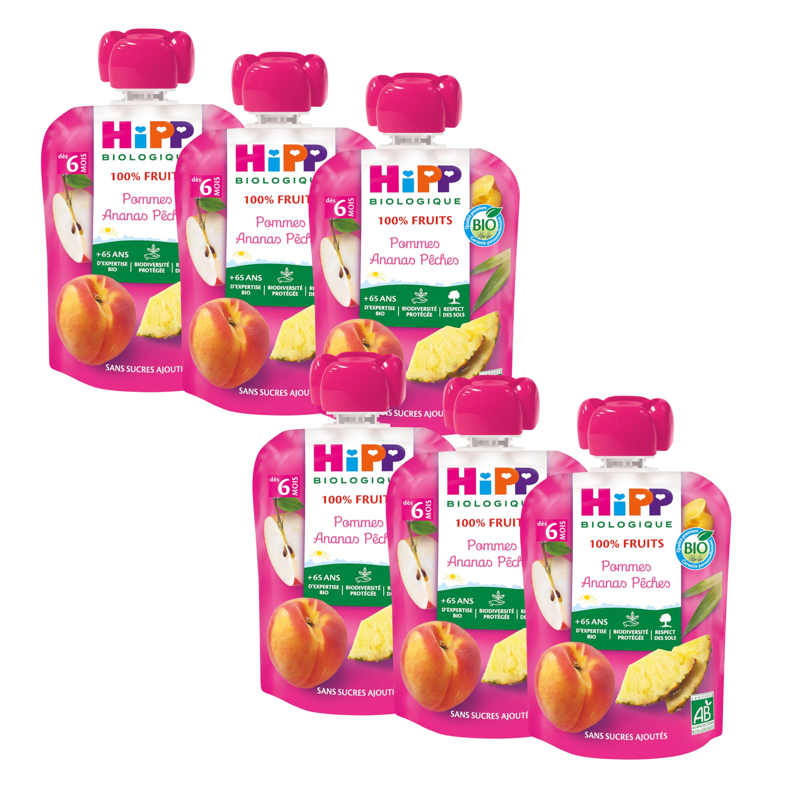 hipp-biologique-gourde-compote-poires-bananes-kiwis-6-x-90-g image 5