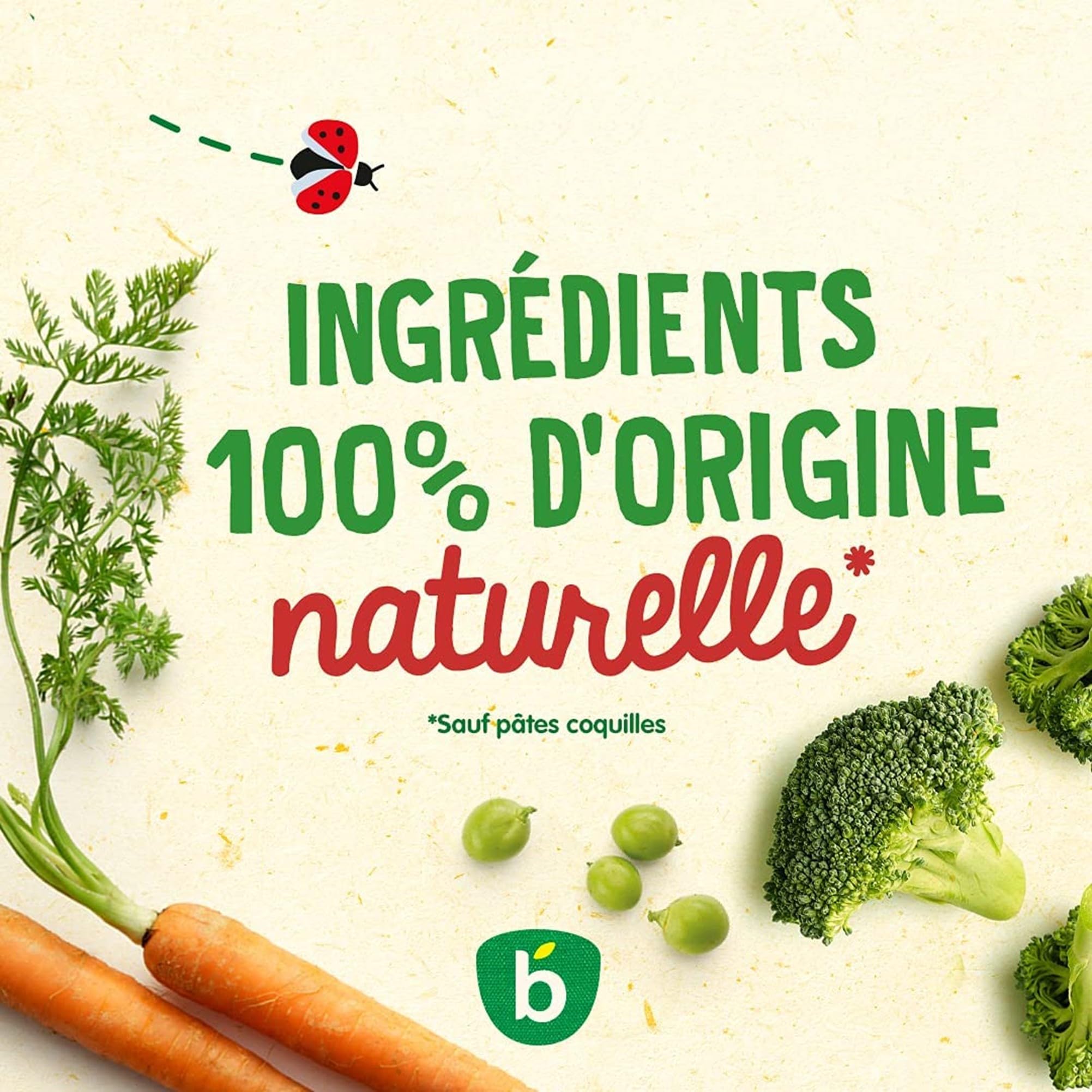 bl-dina-bols-douceur-d-artichauts-dinde-persil-repas-midi-b-b-d-s-12-mois-lot-de image 6