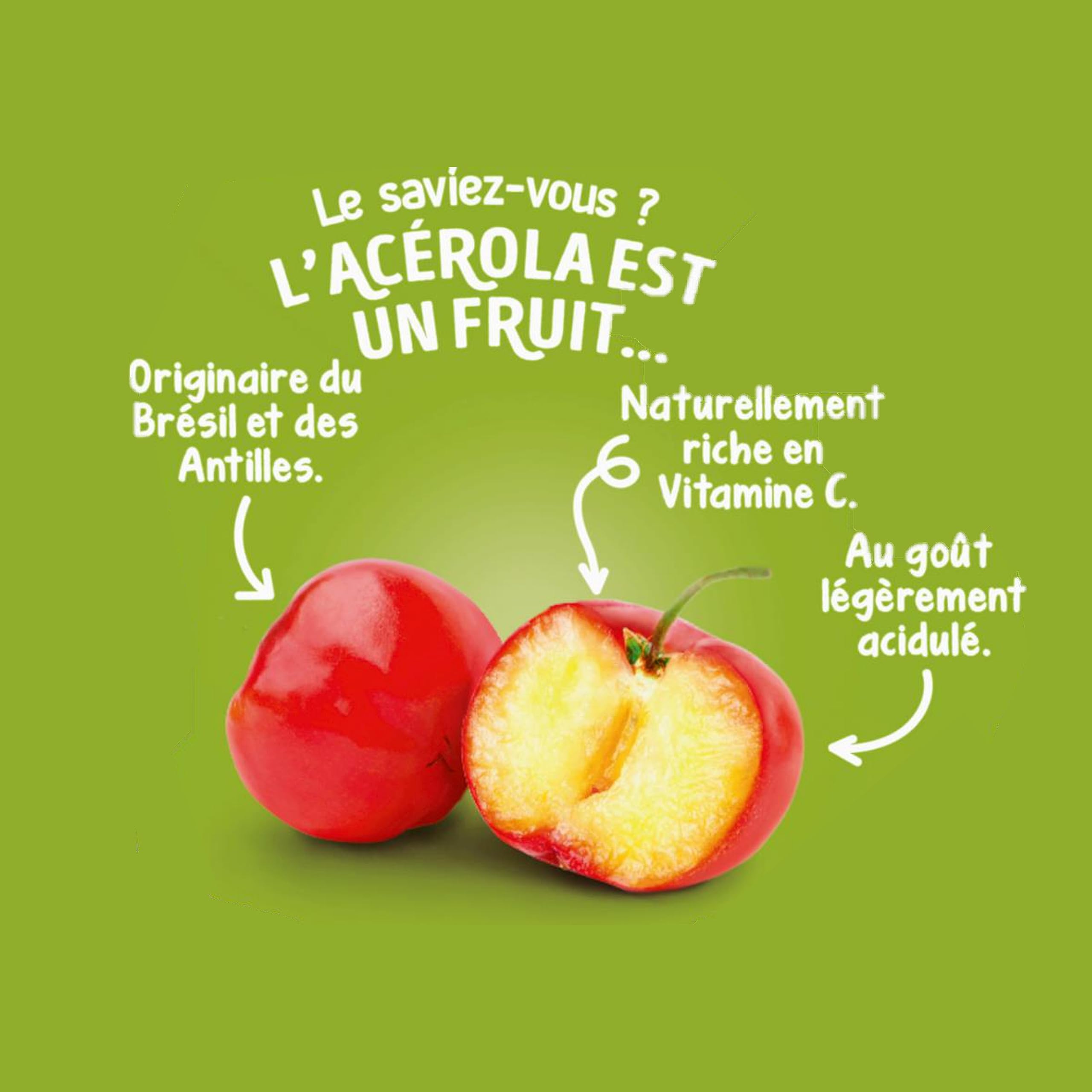 bl-dina-coupelles-de-fruits-pomme-kiwi-acerola-d-s-6-mois-48-coupelles-de-100g image 4