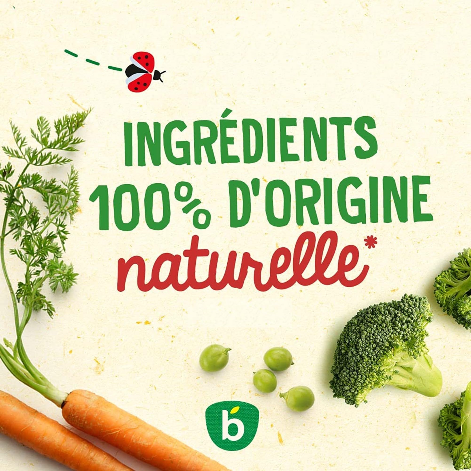 bl-dina-mes-moulin-s-bols-2-petits-l-gumes-saumon-du-pacifique-2-taboul-de-petit image 6