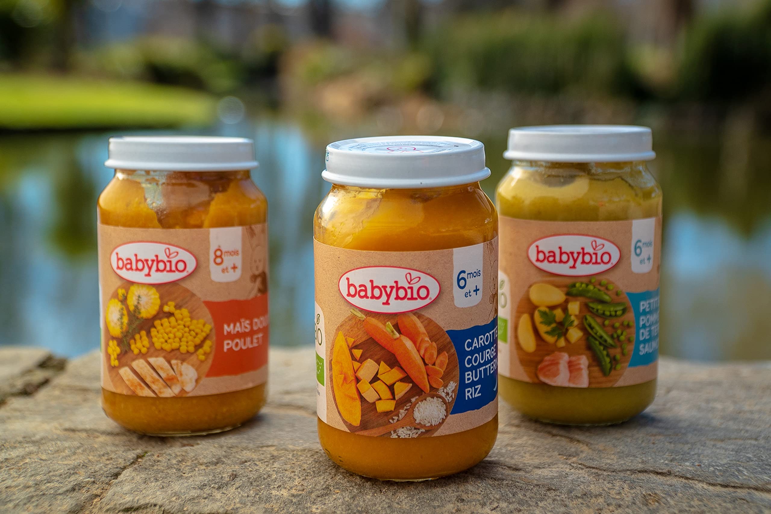 babybio-bonne-nuit-petits-pots-carotte-des-landes-butternut-riz-6-mois-2x200g-pa image 2