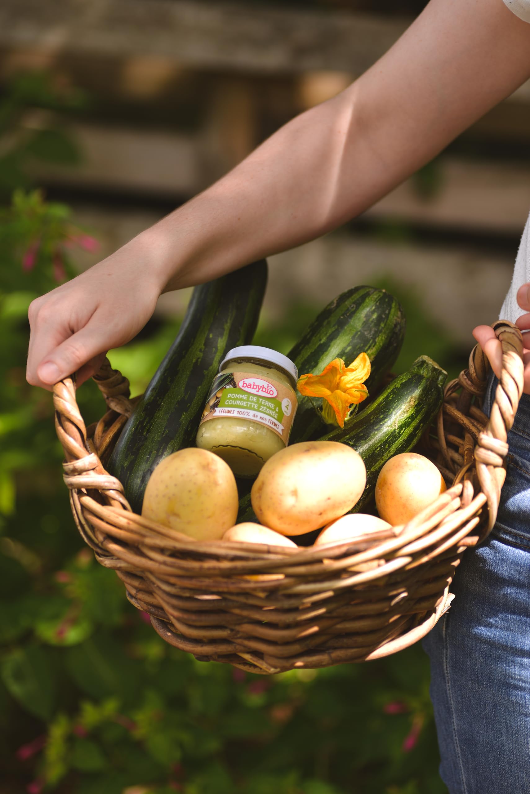 babybio-petits-pots-pomme-de-terre-courgette-z-br-e-d-s-4-mois-2x130-g-lot-de-6- image 3