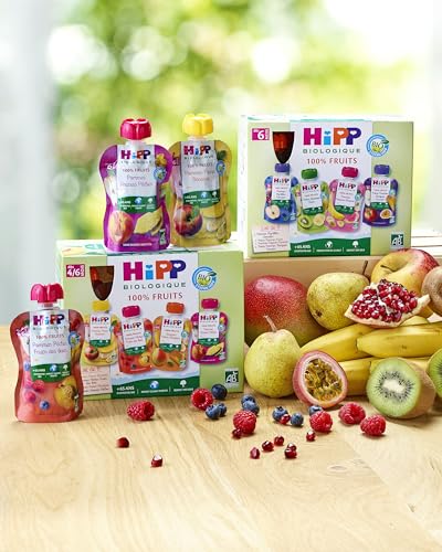 hipp-biologique-gourdes-pommes-p-ches-fruits-des-bois-90-g-lot-de-6 image 7
