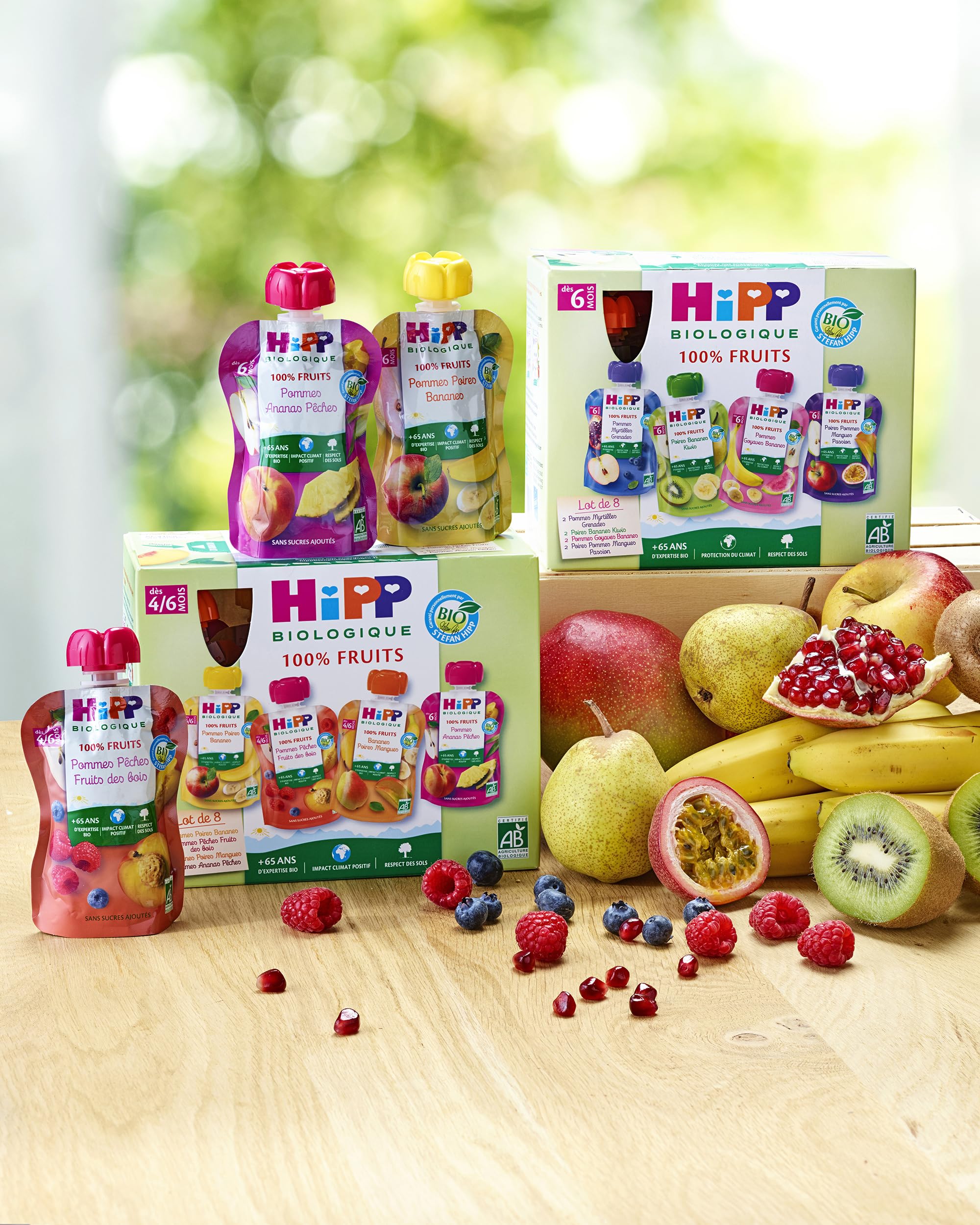 hipp-biologique-gourdes-pommes-p-ches-fruits-des-bois-90-g-lot-de-6 image 3