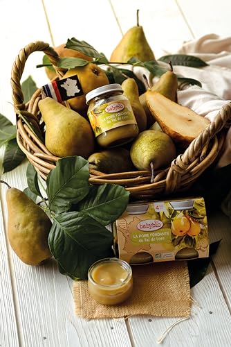 babybio-petits-pots-poire-xenia-du-val-de-loire-bio-2x130g-lot-de-6 image 6