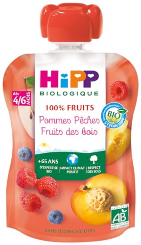 hipp-biologique-gourdes-pommes-p-ches-fruits-des-bois-90-g-lot-de-6 image 6