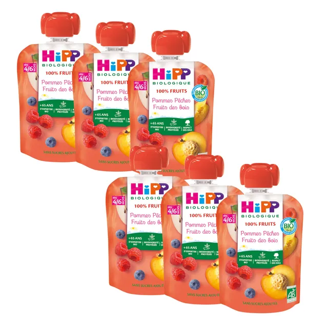 hipp-biologique-gourdes-pommes-p-ches-fruits-des-bois-90-g-lot-de-6 image 1